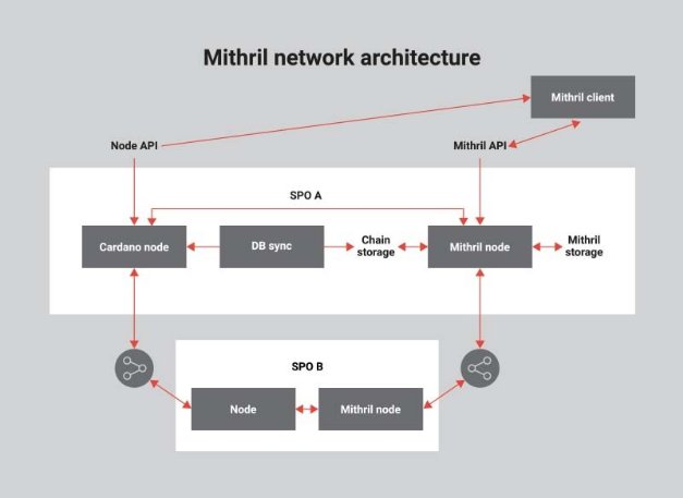 Kiến trúc mạng lưới Mithril