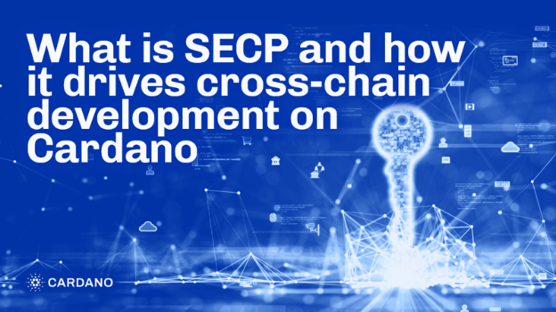 SECP là gì và cách nó thúc đẩy sự phát triển chuỗi chéo  trên Cardano