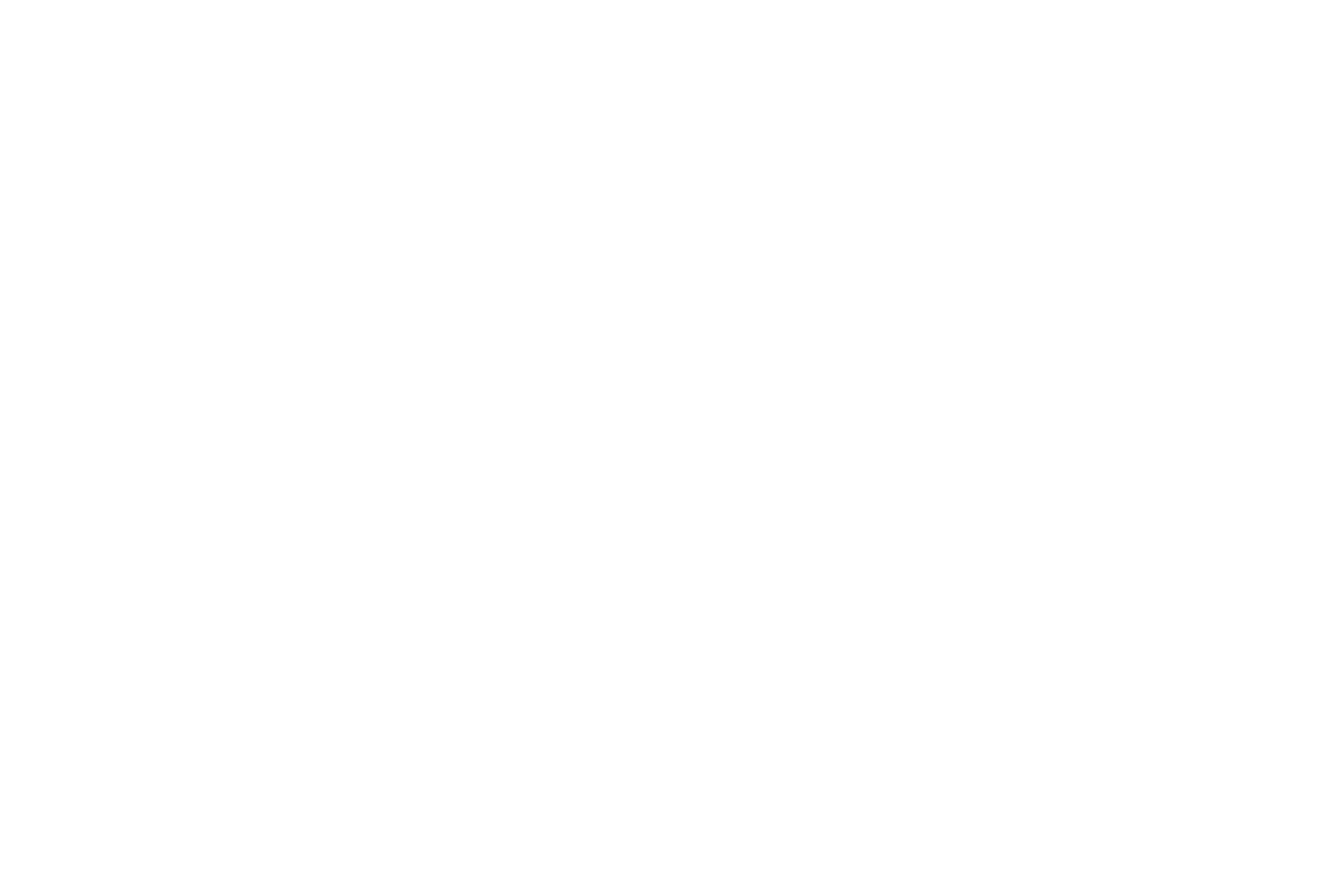 Cardano2vn Logo